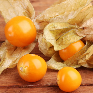 Golden berry – Pepino